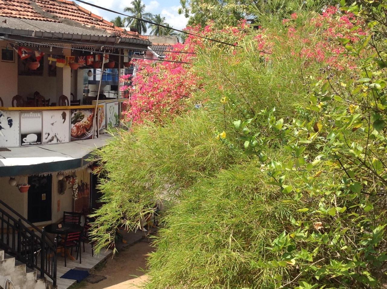 Saman Homestay Тангале Екстериор снимка